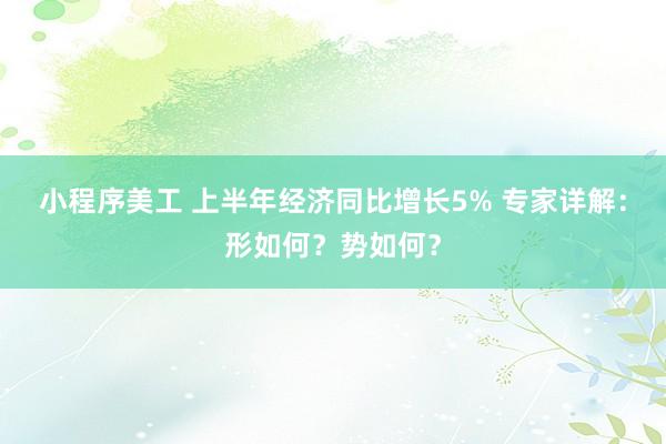 小程序美工 上半年经济同比增长5% 专家详解：形如何？势如何？